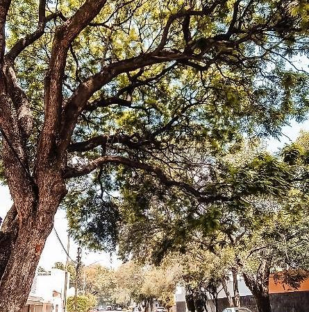 C.-Habitacion Con Bano Privado / Centro De Coyoacan Μεξικό Εξωτερικό φωτογραφία