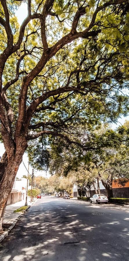 C.-Habitacion Con Bano Privado / Centro De Coyoacan Μεξικό Εξωτερικό φωτογραφία